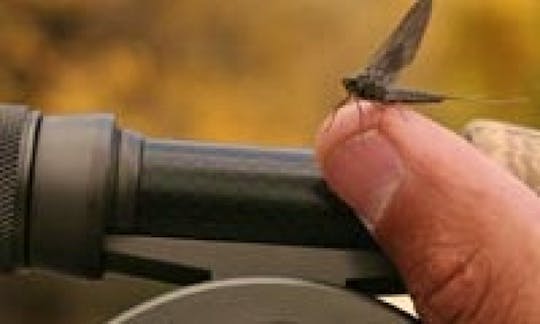 Guided Fly Fishing Tours in Wyoming