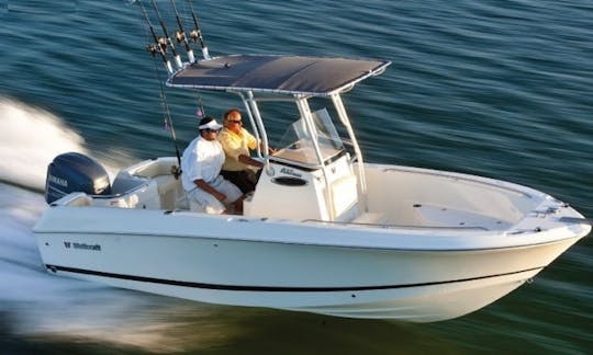 Fishing Trip La Paz/Baja, Mexico (With Captain)