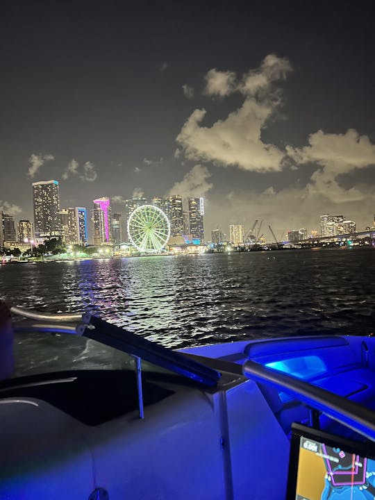 Amusez-vous sous le soleil ! Bateau d'une journée Searay Sundeck de 28 minutes
