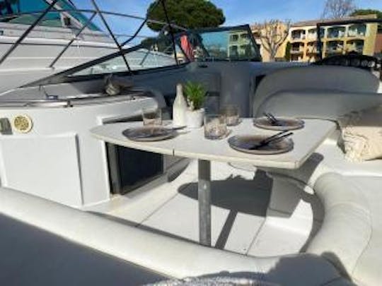 🐬Captain Joe's with Daydream AT Cannes Marina 28 Feet 🐬 