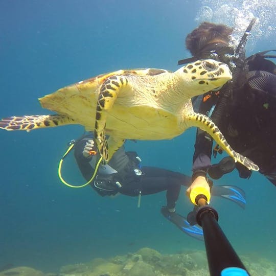 Excursions privées de plongée sous-marine à Muscat