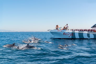 Catamaran Dolphins & Caves - Belize Terceiro