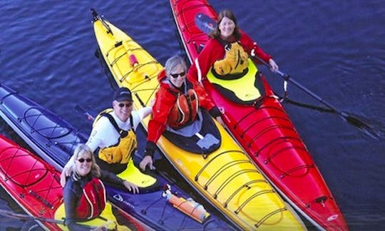 Kayak Rentals in Sydenham, Ontario