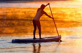 Stand Up Paddleboard Rentals in Sydenham, Ontario