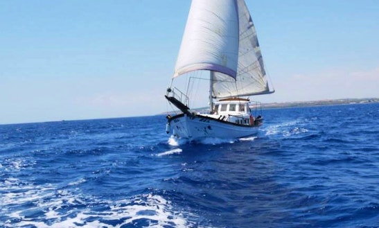 paddle boat rentals ta boat rentals in ayia napa paddle boat rentals ta boat rentals in ayia napa