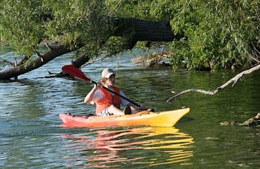 Kenai Peninsula Single Seat Kayak Rentals in Sterling, Alaska