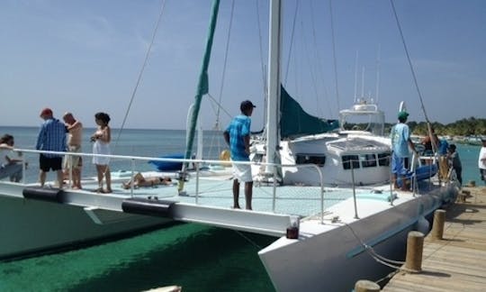 Sailing Catamaran Rental in West Bay