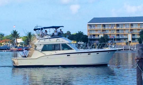 Fishing Charter on 45ft Hatteras Yacht in Key West
