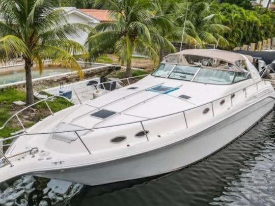 Sea Ray sportif de 50 minutes à Miami | 1 heure GRATUITE + champagne !