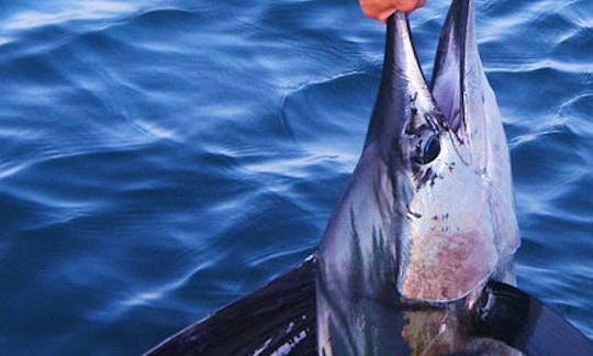 Fishing Charter in  in Fujairah, UAE