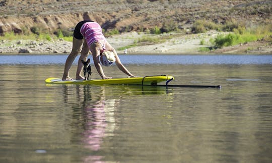 Paddleboard Rental in Hurricane