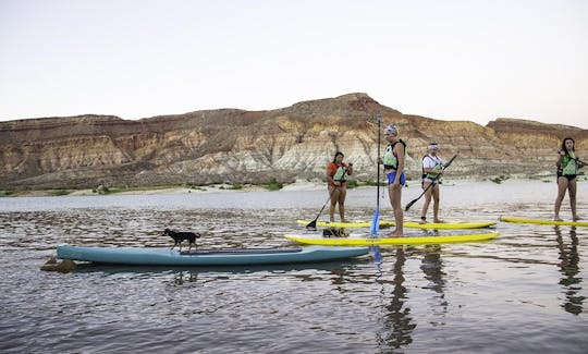 Paddleboard Rental in Hurricane