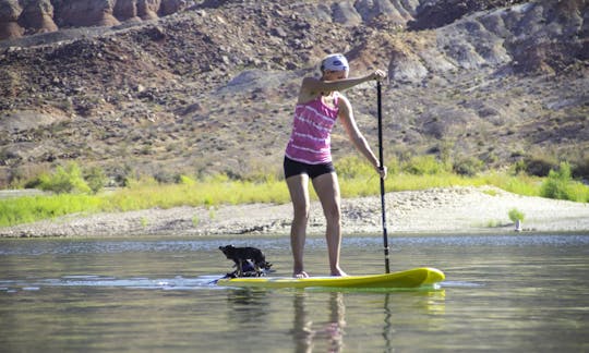 Paddleboard Rental in Hurricane