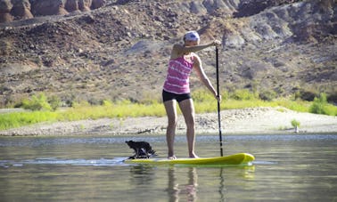 Location de paddleboard à Hurricane