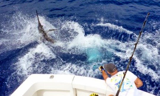Fishing Charters On 43' Hatteras Convertible Sportfischer Yacht in Kailua-Kona Hawaii