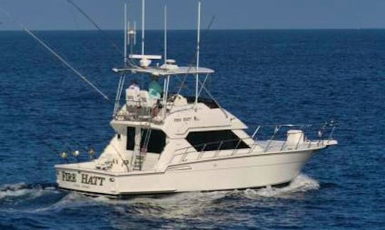 Fishing Charters On 43' Hatteras Convertible Sportfischer Yacht in Kailua-Kona Hawaii