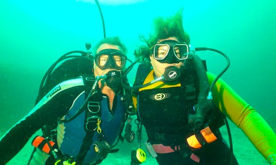 Dive Charters in Presque Isle, MI