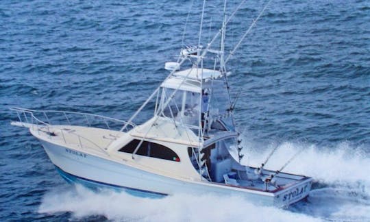 STOLAT - Full and Half Day Charters