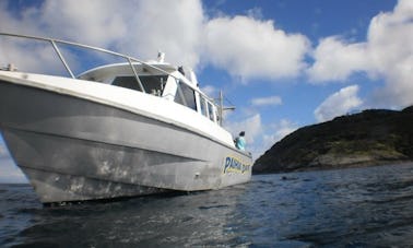 Scuba Diving Trips in Paihia