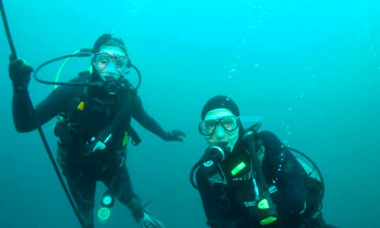 Scuba Diving Trips in Paihia
