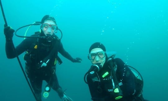 Scuba Diving Trips in Paihia