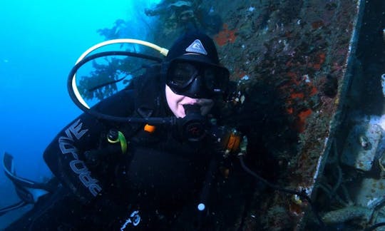 Scuba Diving Trips in Paihia