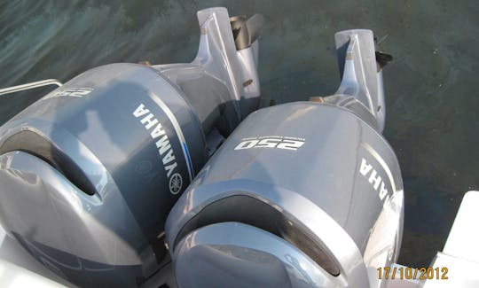 Sport Fisherman Charter withTwin 250 Hp Outboard Engine in Аджман