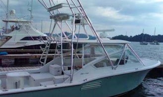 Sport Fishing Charter on 30' Chris Craft Yacht in Golfito, Puntarenas