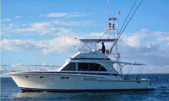 Go Fishing on this 46' "Elaine" Bertram Fishing Charter From La Romana, Dominican Republic