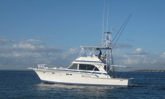 Go Fishing on this 46' "Elaine" Bertram Fishing Charter From La Romana, Dominican Republic