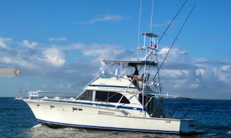 Go Fishing on this 46' "Elaine" Bertram Fishing Charter From La Romana, Dominican Republic