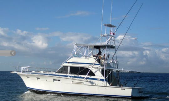 Go Fishing on this 46' "Elaine" Bertram Fishing Charter From La Romana, Dominican Republic