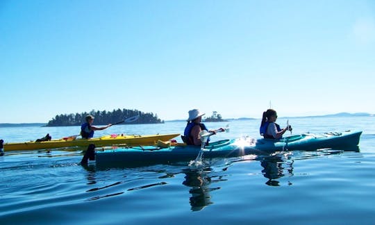 Kayak Tours, Rentals, and Lessons in Sidney BC