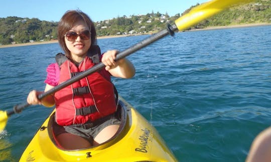 6 Hour Guided Sea Kayaking Tour around the Bay of Islands