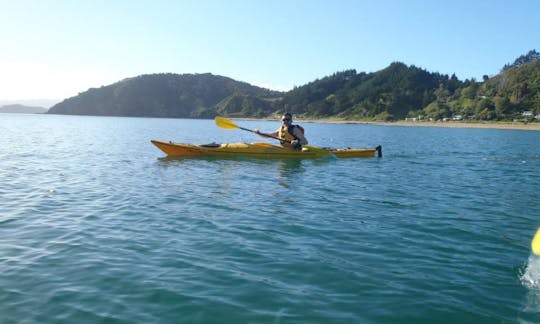 6 Hour Guided Sea Kayaking Tour around the Bay of Islands