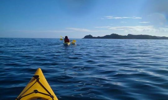 6 Hour Guided Sea Kayaking Tour around the Bay of Islands