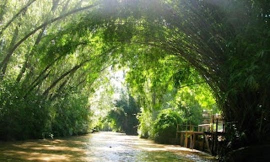 Private Boat Cruise on the Delta in Argentina