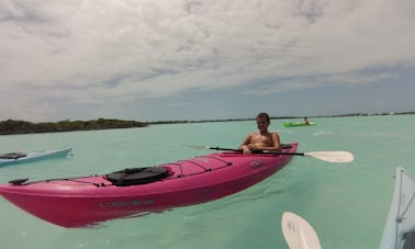 Passeios ecológicos de caiaque e SUP nas Ilhas Turks e Caicos