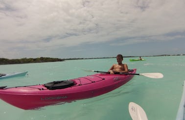 Kayak & SUP Tours in Turks and Caicos Islands
