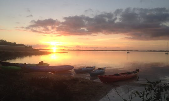 Excursions écologiques en kayak et SUP aux Îles Turques-et-Caïques