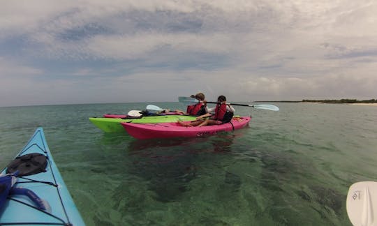 Excursions écologiques en kayak et SUP aux Îles Turques-et-Caïques