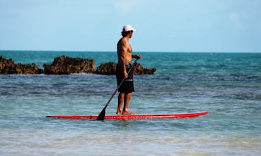 タークス・カイコス諸島でのSUPとカヤックのレンタル、クラス