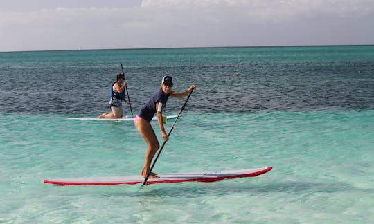 Aluguel de SUP e caiaque, aulas nas Ilhas Turks e Caicos