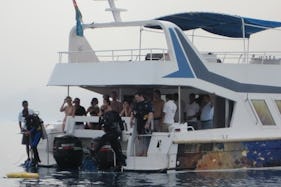 Glass Bottom Yacht Charter in Aqaba