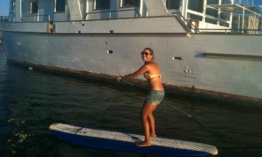 Stand Up Paddle Board Rentals & Lessons Los Angeles!