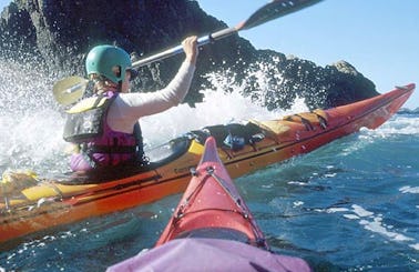 Kayaking Trips in New Zealand