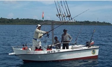 Charter de pesca en Havelock, consola central de 14 pies «Rainbow Runner»