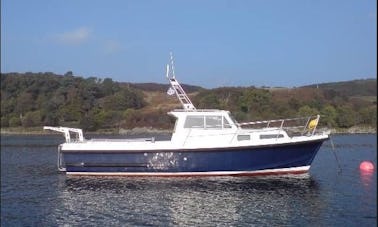 Location d'un yacht Sea Star à Rosses Point