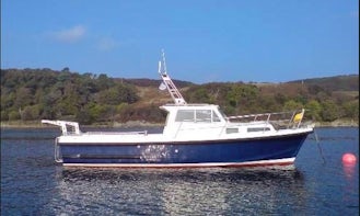 Charter Sea Star Yacht in Rosses Point