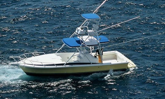 Fishing Charter In Abaco, The Bahamas With Captain Mark